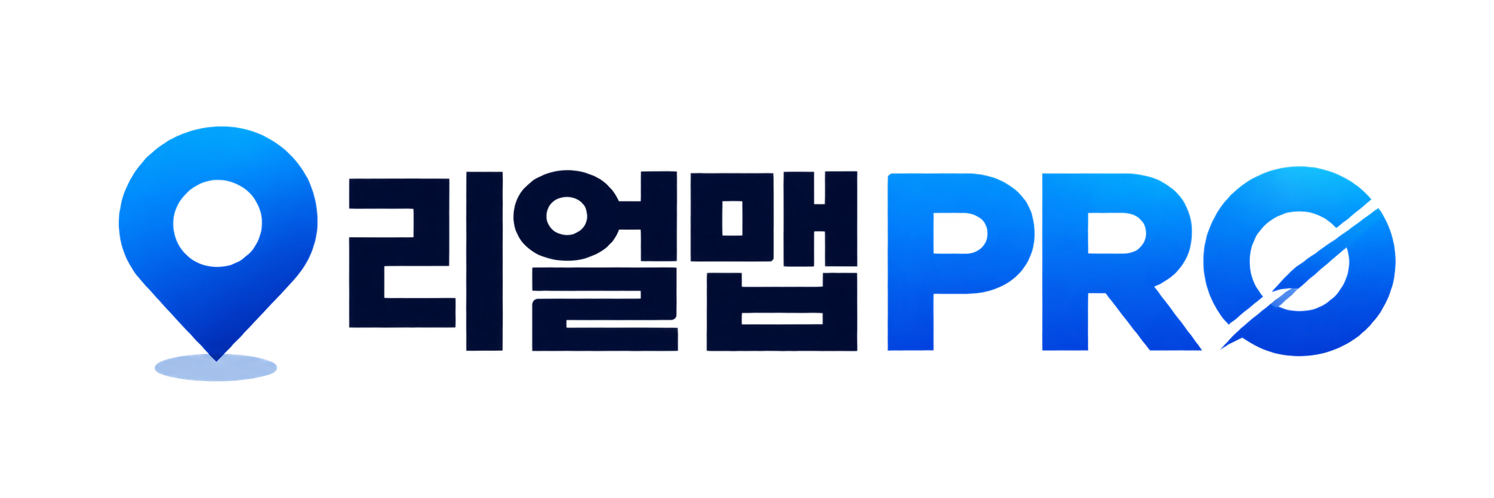 리얼맵PRO